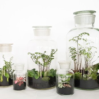 Ikebanart - Jardin sous verre - Party & Event Planning Near Me - Paris, 75