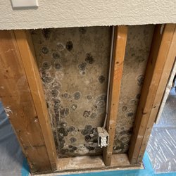 Property Upsurge - BLACK MOLD
