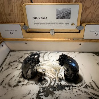 Exploratorium - Venues & Event Spaces Near Me - San Francisco, California