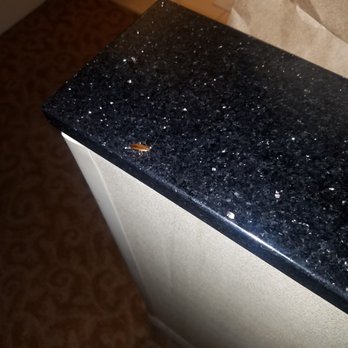 Marriott Chattanooga Downtown - My guest for the evening room 716 - Hotels Near Me - Chattanooga, Tennessee