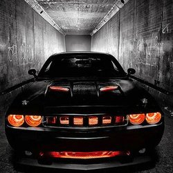Ship A Car, Inc.