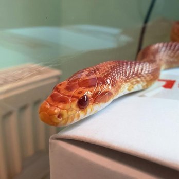 Braid Vets - Veterinarians Near Me - Edinburgh, EDH Braid Vets - Veterinarians Near Me - Edinburgh, EDH