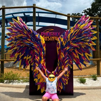 Phoenix Rising - Amusement Parks Near Me - Tampa, Florida Phoenix Rising - Amusement Parks Near Me - Tampa, Florida