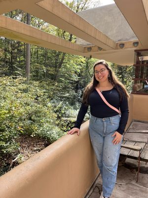 Fallingwater by null