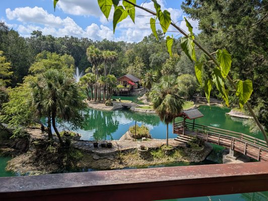 Cedar Lakes Woods and Gardens by null