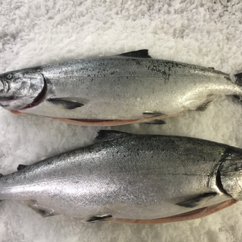 Fish From Trish - Delicious Winter King Salmon - Coffee & Tea Near Me - Ketchikan, Alaska Fish From Trish - Delicious Winter King Salmon - Coffee & Tea Near Me - Ketchikan, Alaska