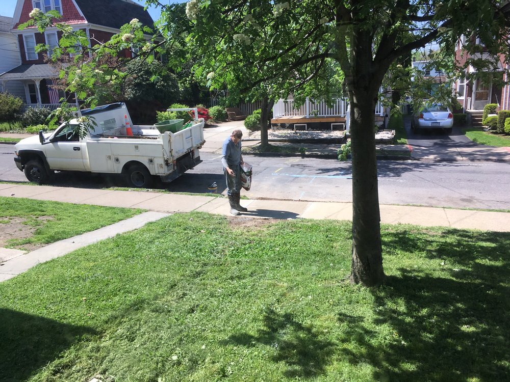 Slide of Carl Krasavage & Son