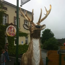 Wilder Hirsch - Hirsch