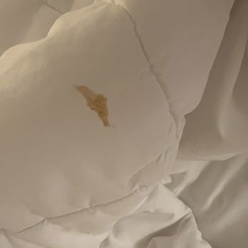 Fairfield by Marriott Inn & Suites Plymouth White Mountains - Blood? Ketchup? Should we really have to guess? - Hotels Near Me - Plymouth, New Hampshire