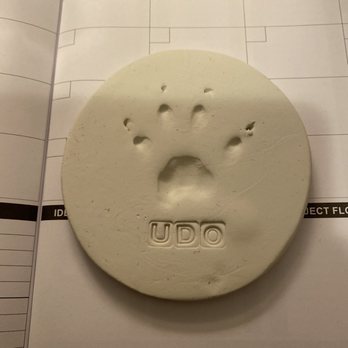 Tanasbourne Veterinary Emergency - Udo's paw print. I will treasure it forever. - Veterinarians Near Me - Beaverton, Oregon Tanasbourne Veterinary Emergency - Udo's paw print. I will treasure it forever. - Veterinarians Near Me - Beaverton, Oregon