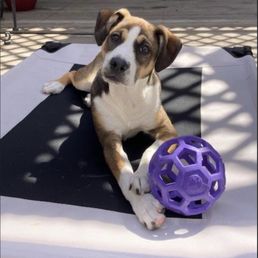 Maisy Maisy