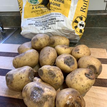 Sobeys - Need to be reimbursed. The next day after purchase, these are the potatoes in the bag. This does not happen overnight. It takes MONTHS. - Grocery Near Me - Innisfil, Ontario Sobeys - Need to be reimbursed. The next day after purchase, these are the potatoes in the bag. This does not happen overnight. It takes MONTHS. - Grocery Near Me - Innisfil, Ontario
