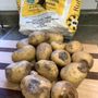 Photo of Sobeys