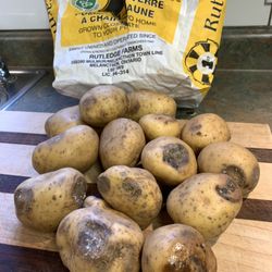 Sobeys - Need to be reimbursed. The next day after purchase, these are the potatoes in the bag. This does not happen overnight. It takes MONTHS.