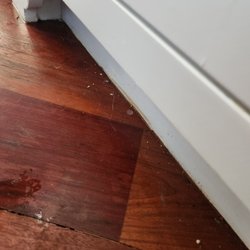 Clean Homes Cincy - We help get those hard to reach areas from top to bottom of your home. We will dust, mop and vacuum your home floors.
