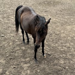 UC Elkus Ranch Environmental Education Center