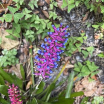 Mead Botanical Garden - Botanical Gardens Near Me - Winter Park, Florida