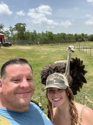 Bayou Wildlife Zoo by null