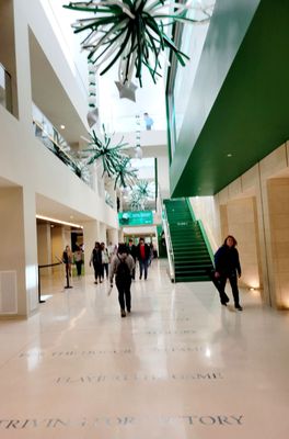 University of North Texas by null