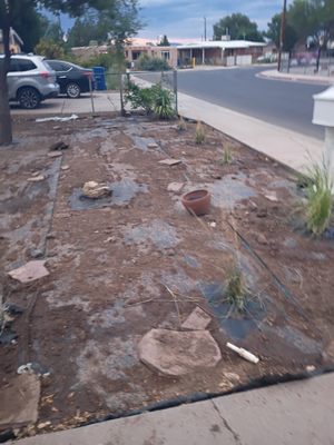 Los lunas - Please call  505-267-1768