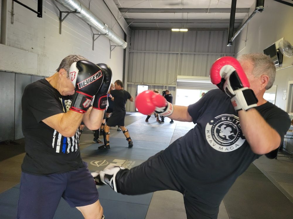 Elite Krav Maga Image