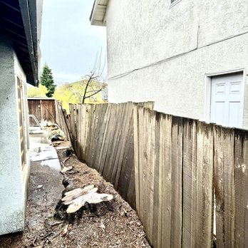 Cano Tree Service - Tree Services Near Me - Redwood City, California Cano Tree Service - Tree Services Near Me - Redwood City, California