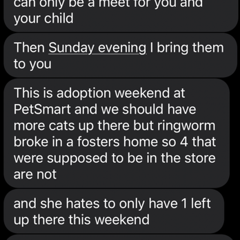 Furry Friends Animal Rescue - Animal Shelters Near Me Furry Friends Animal Rescue - Animal Shelters Near Me
