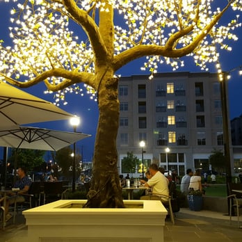 Barking Mad Cafe - Outdoor seating..fantastic.  Tree imported from Italy. - Coffee & Tea Near Me - Gaithersburg, Maryland