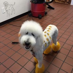 Smoochies Dog Spa