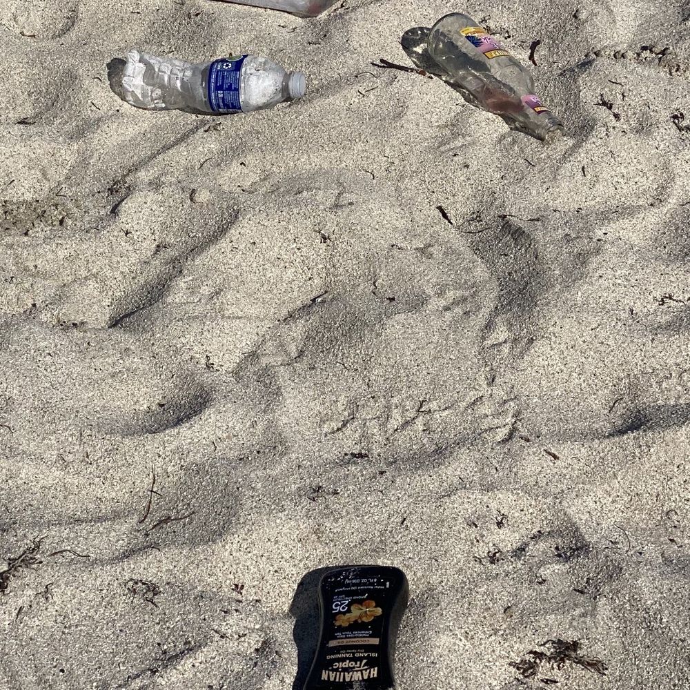 Miami Beach - Shame of parents that breed kids that left beach like this today. I threw it in the trash as parents watched me. - Beaches Near Me - Miami Beach, Florida Miami Beach - Shame of parents that breed kids that left beach like this today. I threw it in the trash as parents watched me. - Beaches Near Me - Miami Beach, Florida