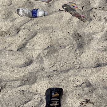 Miami Beach - Shame of parents that breed kids that left beach like this today. I threw it in the trash as parents watched me. - Beaches Near Me - Miami Beach, Florida