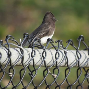 Cerrito Vista Park - Parks Near Me - El Cerrito, California