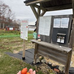 The Red Barn Motel - Look what we picked!