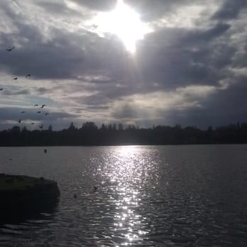 Edgbaston Reservoir - Lakes Near Me - Birmingham, XWM Edgbaston Reservoir - Lakes Near Me - Birmingham, XWM