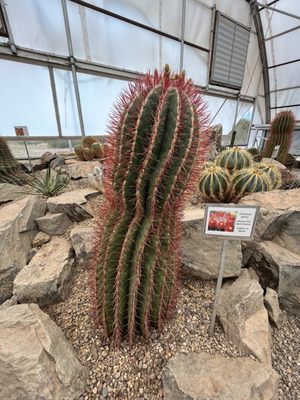 Chihuahuan Desert Research Institute by null