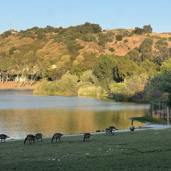 Almaden Lake Park - Parks Near Me - San Jose, California