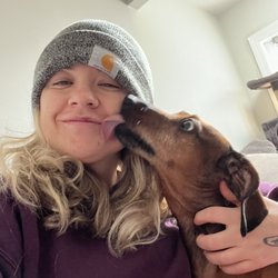 Kate’s Canine Care