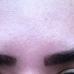 Blissful Brows