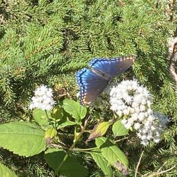 Beauty on the trails