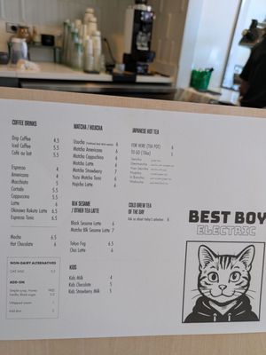 Best Boy Electric by null