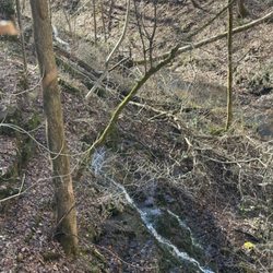 Machine Falls Loop Trail - Adams Falls