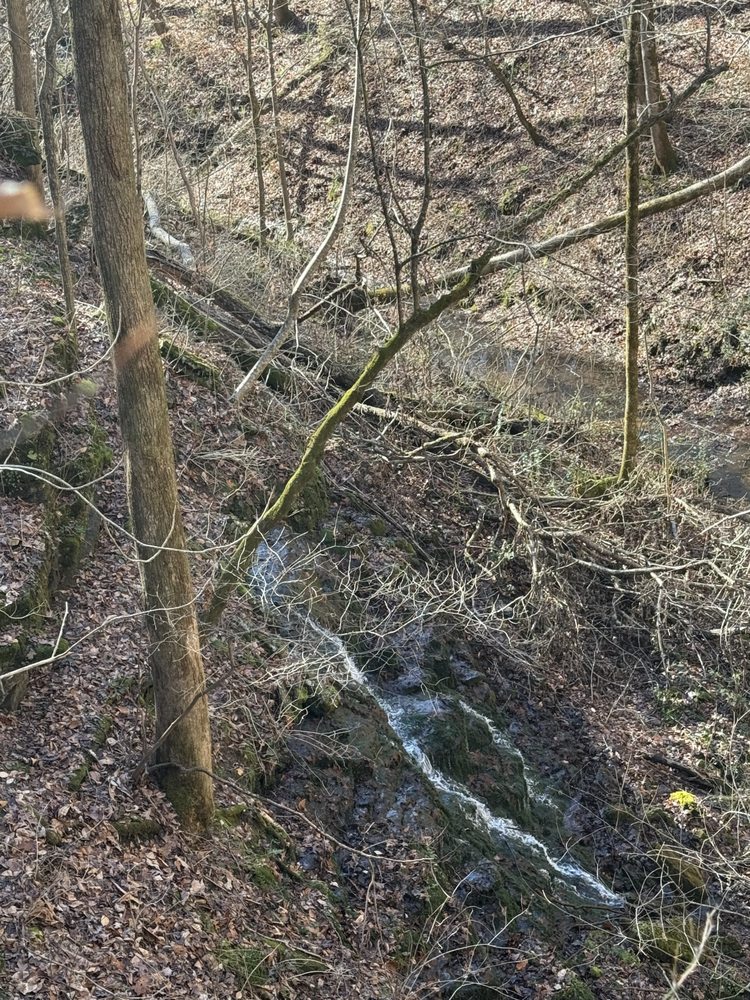 Machine Falls Loop Trail Logo