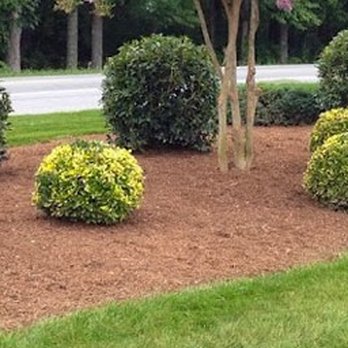 Ames 2 Please Landscaping - Landscaping Near Me - Morgan Hill, California Ames 2 Please Landscaping - Landscaping Near Me - Morgan Hill, California
