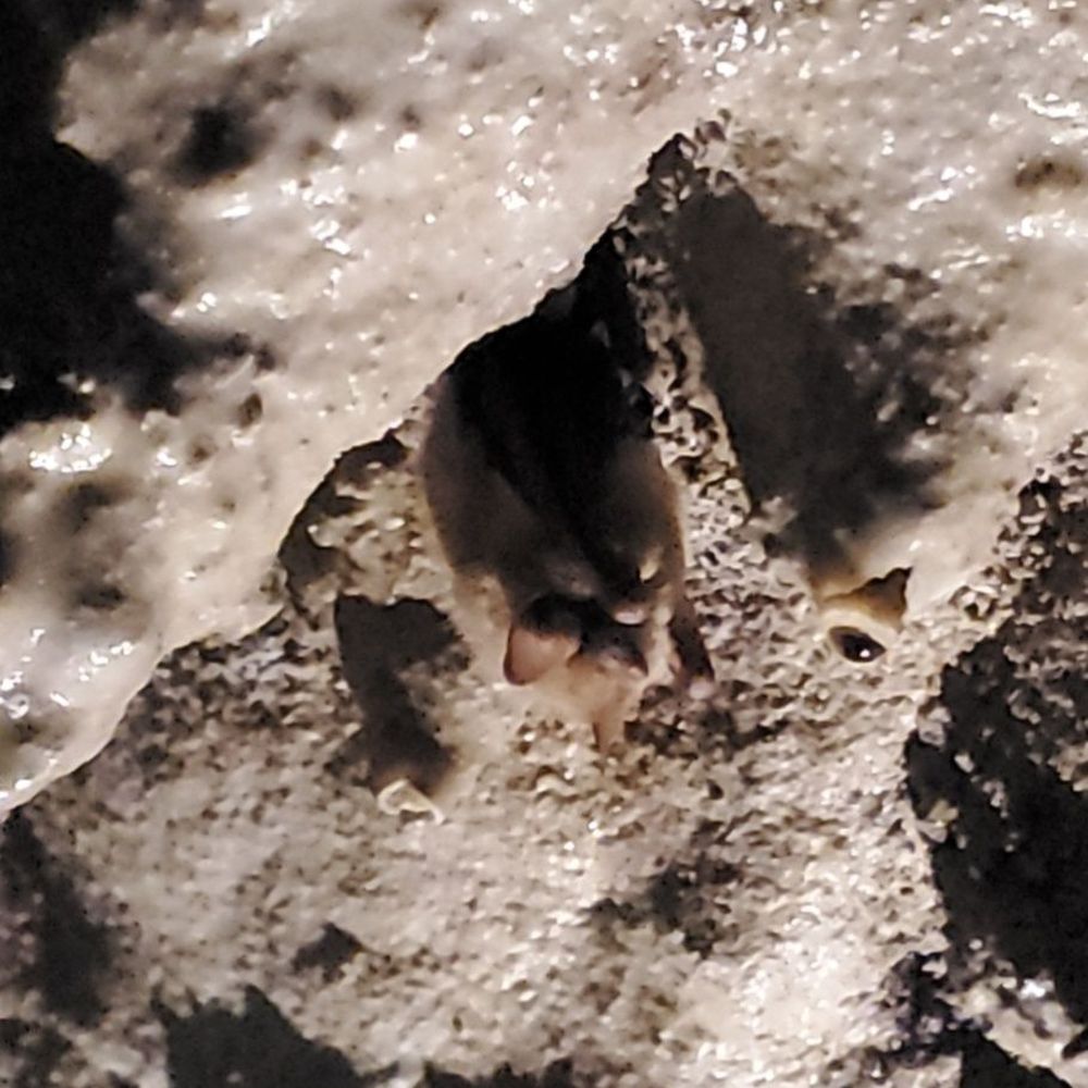 Cascade Caverns - Tours Near Me - Boerne, Texas Cascade Caverns - Tours Near Me - Boerne, Texas