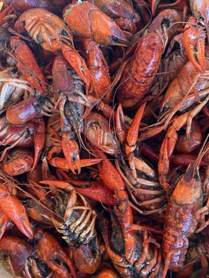 Sal's Seafood by null