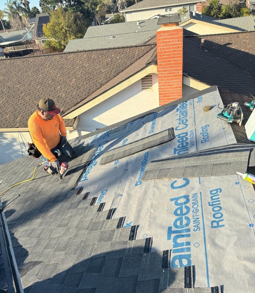 Slide of Turtle Roofing