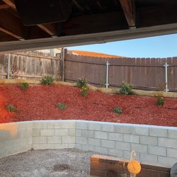Curt's Land Patrol - And this! These were taken in Oct 2017 and the plants have taken root and blossomed!