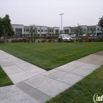 Kimball A Wong, DC - Chiropractors Near Me - Alameda, California Kimball A Wong, DC - Chiropractors Near Me - Alameda, California