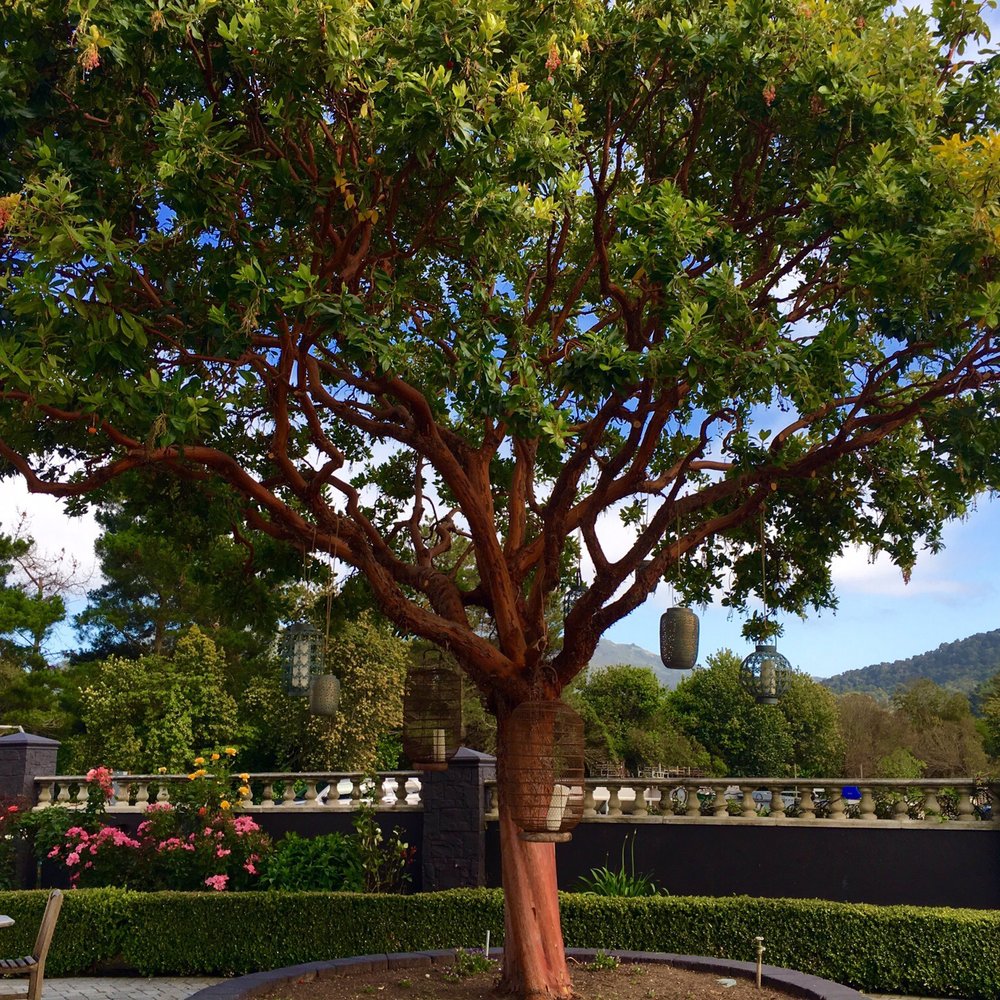 Folktale Winery - Beautiful gardens - Wineries Near Me - Carmel, California Folktale Winery - Beautiful gardens - Wineries Near Me - Carmel, California