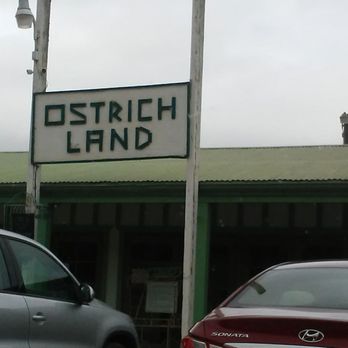Ostrichland USA - Ostrich Land - Attraction Farms Near Me - Solvang, California Ostrichland USA - Ostrich Land - Attraction Farms Near Me - Solvang, California